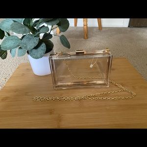 Clear acrylic purse